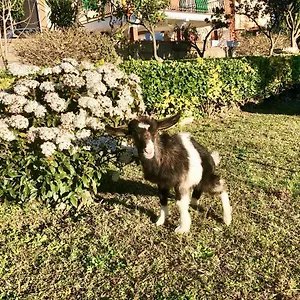  Bed & Breakfast Annetta Italy